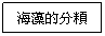 r: Ħ頪
